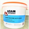 CREPIS Silicone Acrylique Adam Materiaux TO.OL022 Y 64% seau 25kg