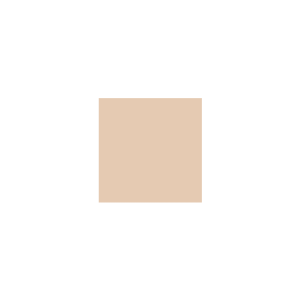 Peinture silicone acrylique Adam Materiaux TO-BR007 Y=64%/10L