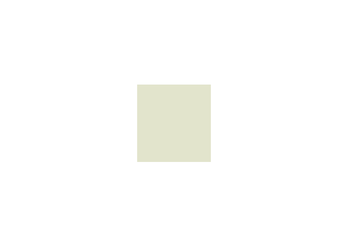 Peinture silicone acrylique Adam Materiaux TO.OL019 Y 76% 10L