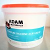 Peinture silicone acrylique Adam Materiaux TO.PA005 Y 82% 10L