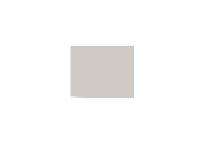 Peinture silicone acrylique Adam Materiaux TO.PA023 Y 60% 10L