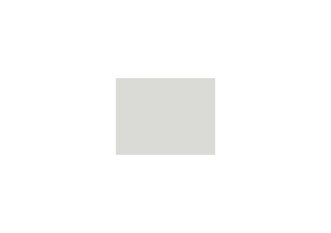 Peinture silicone acrylique Adam Materiaux TO.PA025 Y 70% 10L