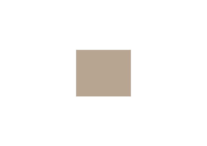 Peinture BR026 Y40 Latex Mate Intérieure Adam Materiaux murs et plafonds seau 5L