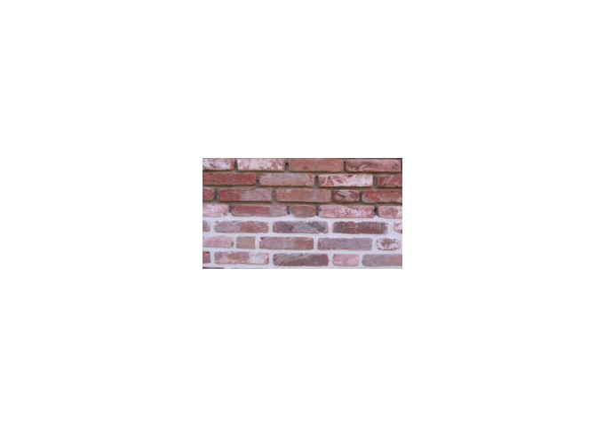 Ciment BLANC CEM II B.ll 42.5N Coeck sac 20kg