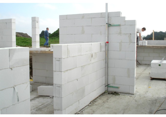 Bloc Cellulaire Lemga 60x10x20cm PLEIN GG4 pièce