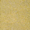 Crepis SOUS.BASSEMENT M824 Adam Materiaux seau 25kg